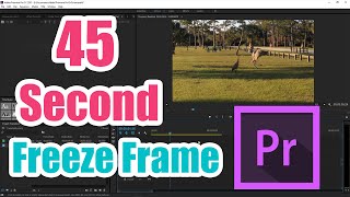 How to Frame Freeze / Stop Time in Premiere Pro CC (Fast Tutorial)