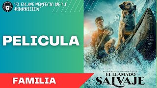 Pelicula Completa en Español | El Llamado Salvaje| Película completa ESPAÑOL|FAMILIA LLAMADO SALVAJE