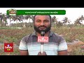 గులాబీల సేద్యం ప్రతి నెల రూ.60వేల ఆదాయం huge income with rose cultivation organic farming hmtv