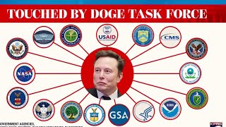 Musk's DOGE plan leads to nationwide protests