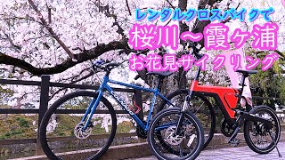 レンタルクロスバイクで行く　土浦・桜川～霞ヶ浦　春の桜ライド