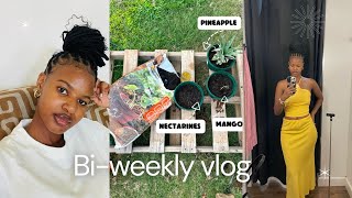 Bi-weekly vlog: Shooting content | Takealot order failed again??? DIY project