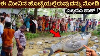 ಈ ಮೀನಿನ ಹೊಟ್ಟೆಯಲ್ಲಿರುವುದನ್ನು ನೋಡಿ ಎಲ್ಲರೂ ಶಾಕ್ ! Shocking to see in the stomach of this fish