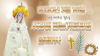 사랑이피는기도모임  3월 16일 월례미사(사순 제3주간)