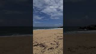 Peanut Farm Beach🥜⛱️🤔🤴🏻 in Panama #nature #beaches #sea