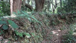 遠江国  静岡県湖西市  宇津山城址　2016