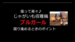 堀り進めるときのポイント　じゃがいも収穫機ブルガール　｜じゃがいも収穫｜長崎｜フジシタ｜potatoharvester