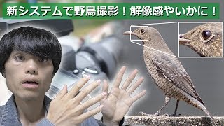 [ AFボーグ ] 新システムで野鳥テスト撮影！解像感はこんな感じ！