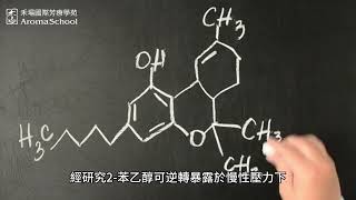 大馬士革玫瑰被視為是潛在的萬靈藥?