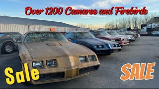 Camaro and Firebird Business For Sale