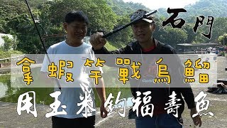 【老蟹愛釣魚】孫權攜手趙子龍大戰烏鰡300回合！欲知結果如何，請見本片再戰石門烏鰡池便知分曉！