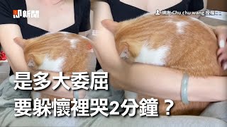 橘貓埋懷裡大哭2分鐘！媽傻眼：受什麼委屈？｜寵物動物｜貓咪｜萌寵