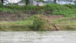 R02 川 津保川 7月12日 増水4日後の痕跡 (津保川・関水位計2.03m) 梅ノ木瀬橋下流 20200712 AM08:00