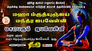 🔴Live: நெல்லையப்பர் கோவில் | மஹா ம்ருத்யுஞ்ஜய மந்த்ர ஜபவேள்வி | மாபெரும் ஜப வேள்வி