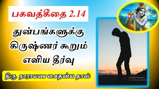 துன்பங்களுக்கு கிருஷ்ணர் கூறும் எளிய தீர்வு - Bhagavad Gita 2.14 - Narayana caitanya das