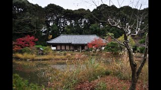 【紅葉】【11月2x日】浄瑠璃寺【京都】本堂と三重塔【1952国宝】庭園【1985名勝】