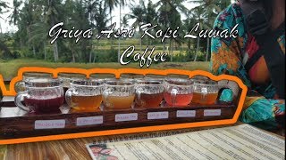 Griya Asrı Luwak Coffee | Off The Beaten Path🇮🇩