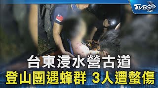 台東浸水營古道 登山團遇蜂群 3人遭螫傷｜TVBS新聞 @TVBSNEWS02