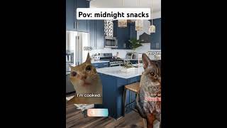 Midnight snack! #funny #funnyanimal #catsruleeverythingaroundme #fypシ゚ #cat