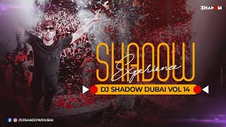 Shadow Experience Vol 14 | DJ Shadow Dubai Nonstop | Party Mix 2020