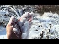 4k pov snow trail with relaxing music winter wonderland hike at mackenzie king estate