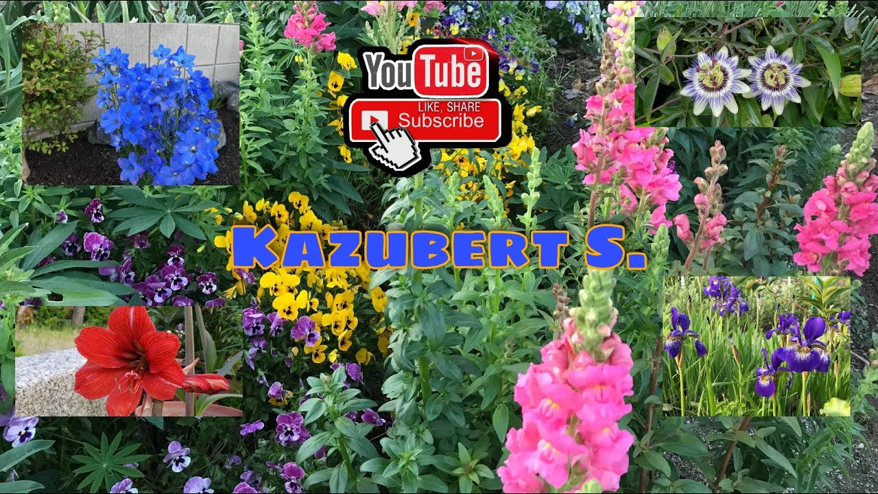 Spring Flowers Youtube