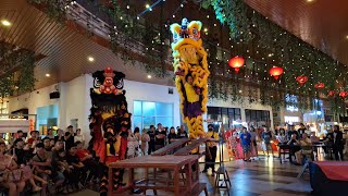 舞狮表演 Lion Dance Performance