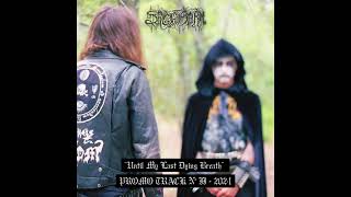 Stygian Storm (Spain) — Until My Last Dying Breath — 2024 promo track