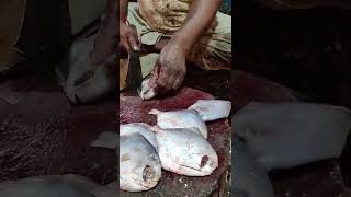 Fastest Rupchanda Fish Cutting By Expert BD Fish Cutter #shorts