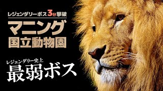 ボス３分クッキング｜マニング国立動物園｜レジェンダリー