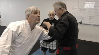 Integrating the Budo 1