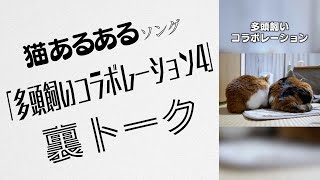 猫あるあるソング「多頭飼いコラボレーション４。」制作裏トーク