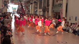 相模RANBU○　～2013高知よさこい祭り・全国大会(帯屋町筋会場)