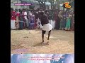 student naveen kumar s silambam performance in s.i.v.e.t college pongal celebration