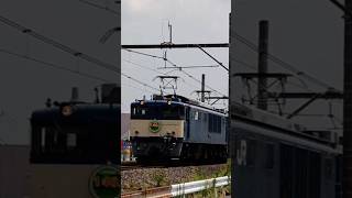 EL高崎線 2023.7.28 EF64 1053+12系×5 「上野駅・高崎線開業140周年記念号」9821レ