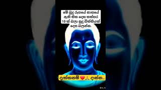 මේ බුදු රූපයේ නාසයේ ඇති තිත දෙස තත්පර 10 ක් බලා සුදු බිත්තියක් දෙස බලන්න..❤️🙏🍃 #shorts #magic #music