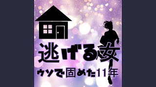 ウソで固めた11年