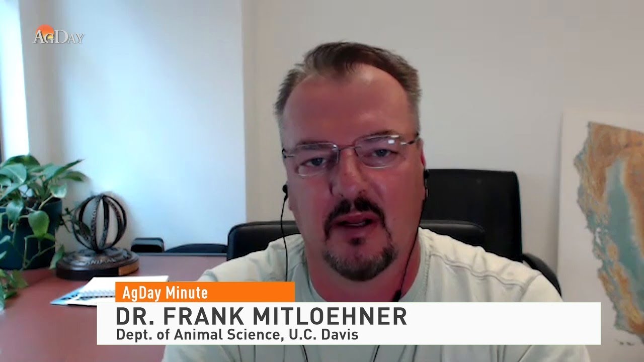 Agday Minute 071520 Youtube