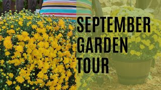 Garden Tour - September 2022 | Mulching the garden|  Zone 9