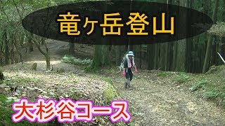 【竜ヶ岳登山】大杉谷コ－ス。京都 竜ヶ岳(標高921m)登頂記。