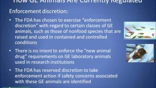 The Science and Regulation of Feed from GE Animals - Part 1 of 2
