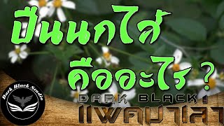 ปืนนกไส้ คืออะไร? : DarkBlack แพคมาเล่า