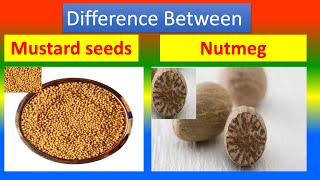 Differences Between Medical And Health Benefits Of Mustard seed  and  Nutmeg