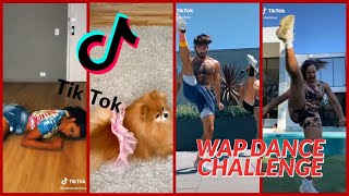 Cardi B - Wap Best Tik Tok Dance Move Challenge review