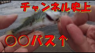 バス釣り・・・ある意味奇跡チャンネル史上○○バス？朝マズメ彦根港ダウンショット\u0026南湖でBリグ表層巻き⁉