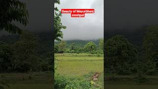 baniabasa similipal #shorts #nature #short #nature #similipal #monsoon #odisha #mayurbhanj#odiagopal