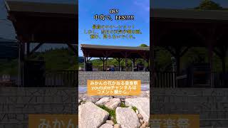 島暮らしチョイ見せ085中島で、FES!!!!! #移住 #離島 #田舎暮らし #ルームツアー #瀬戸内 #音楽祭 #みかんの花かおる音楽祭 #海 #shorts