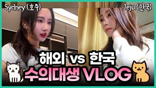Comparing Day in the Life of VET students | Korea(Jeju) vs Austrailia(Sidney) VET school system