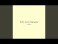 Echo Aurora Fragments