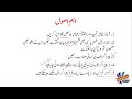 essay writing in urdu 20 important rules of essay writing